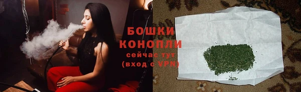 ПСИЛОЦИБИНОВЫЕ ГРИБЫ Алзамай