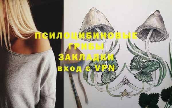 прущий лед Алексин