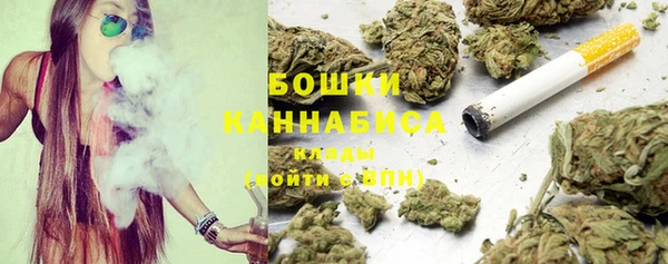 ПСИЛОЦИБИНОВЫЕ ГРИБЫ Алзамай