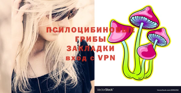 ПСИЛОЦИБИНОВЫЕ ГРИБЫ Алзамай