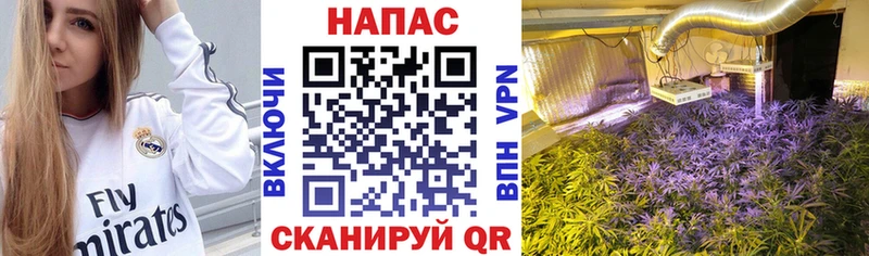 MEGA ONION  Саянск  Бошки марихуана семена  дарнет шоп 